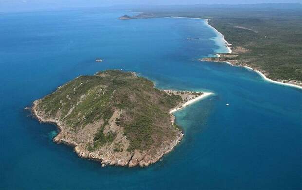 Разорившийся миллионер из Австралии 20 лет живет на необитаемом острове крах, миллионер, необитаемый остров