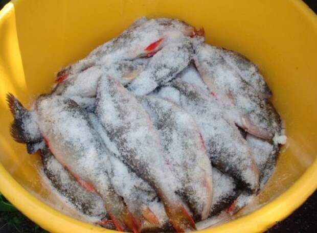 Простейший способ почистить рыбу - при помощи соли