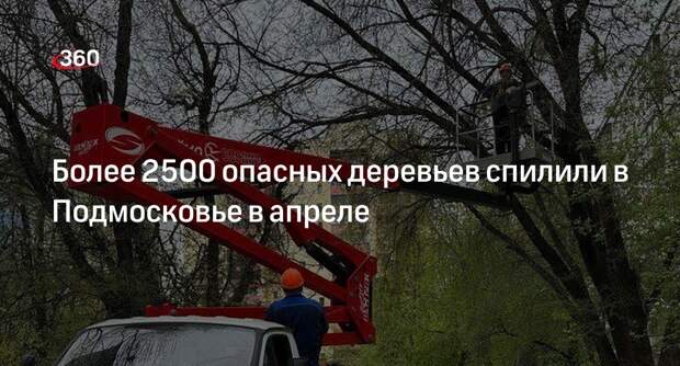 Более 2500 опасных деревьев спилили в Подмосковье в апреле