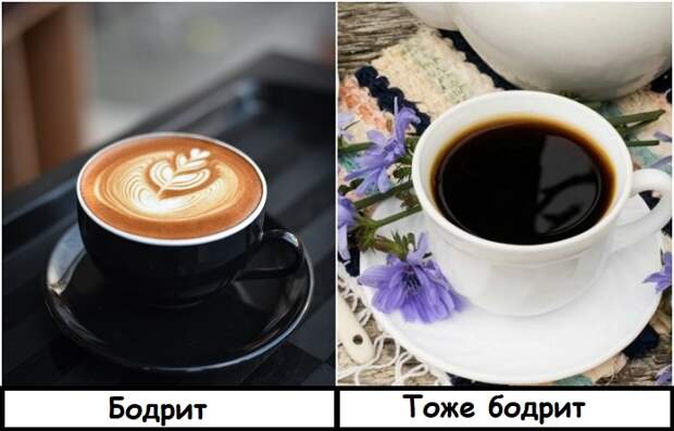 Цикорий хорошо бодрит, хотя в нем и нет кофеина Цикорий хорошо бодрит, хотя в нем и нет кофеина