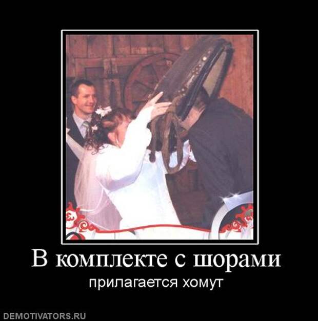 http://s2.uploads.ru/SZ7pH.jpg
