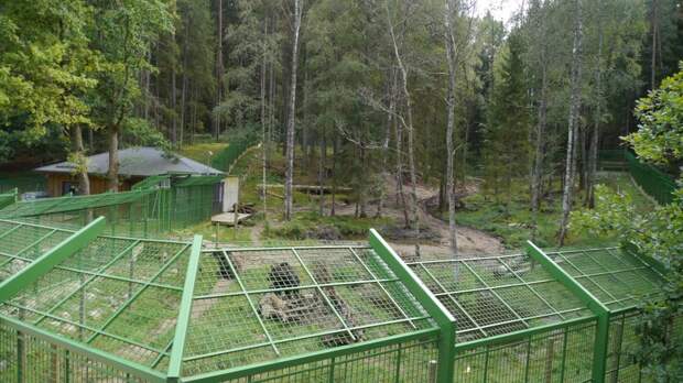 Природные тропы Лигатне, Латвия