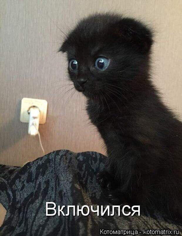 Включился