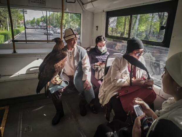 Подборка прикольных картинок