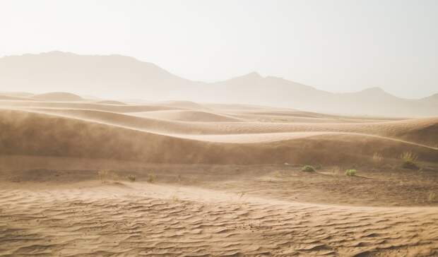 Ученый Семенов рассказал, какие регионам грозит опустынивание