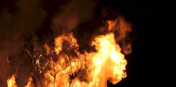 Пожарные локализовали крупный лесной пожар в Угловском районе