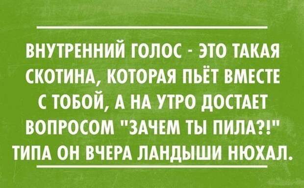 Свежие картинки с надписями до слез от смеха (11 фото) Свежие картинки с надписями до слез от смеха (11 фото)