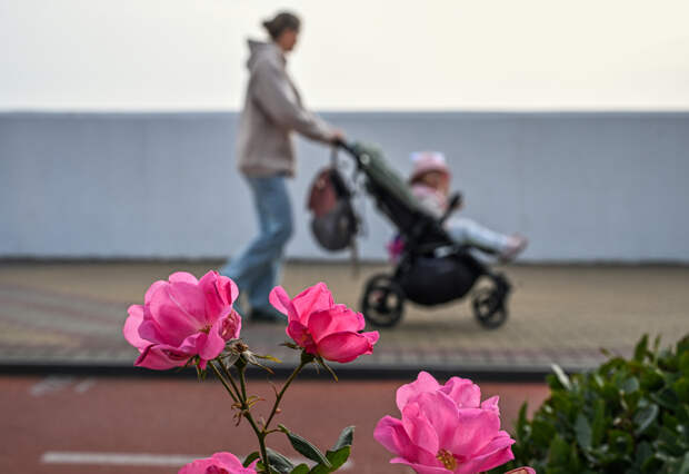 В России предложили бесплатно обеспечивать лекарствами детей из многодетных семей