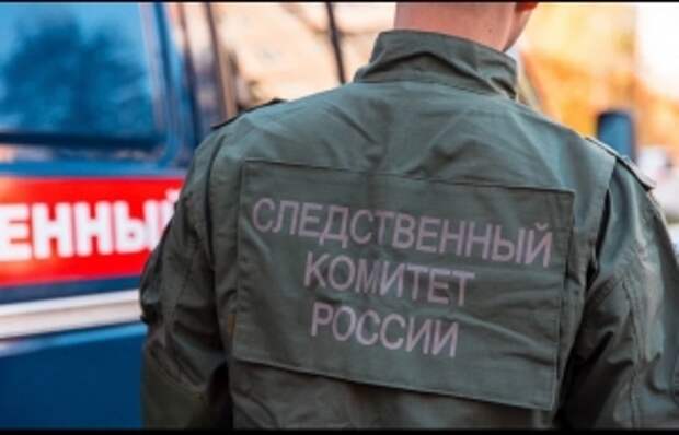 Доклад о ходе расследования обстоятельств нападения на школьника в Самарской области представят в центральный аппарат СК России