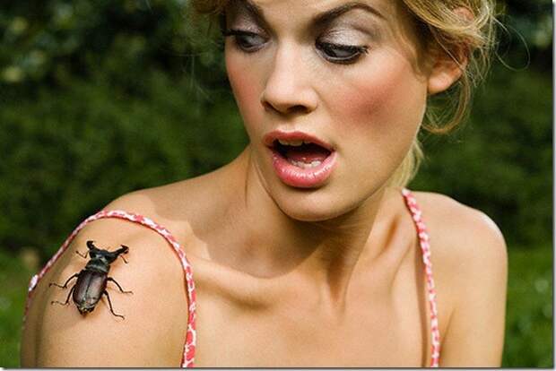 Самые странные, уродливые и ужасные насекомые мира насекомые, странные, ужасные, уродливые
