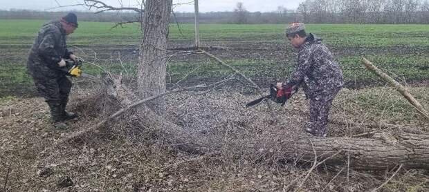 Казаки Гиагинского района приняли участие в субботнике