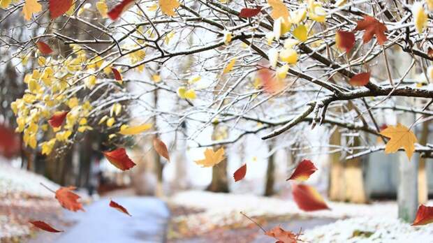 3 ноября в Москве ожидается облачная погода с прояснениями, местами небольшие осадки, гололедица