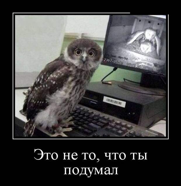 Демотиваторы (30 фото)