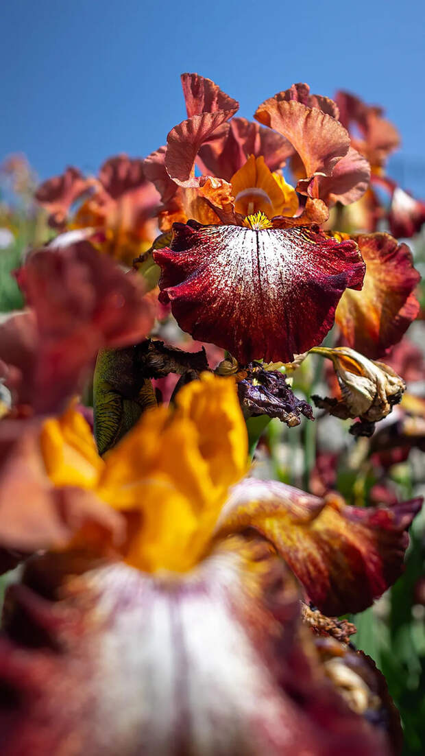 Доброе утро! И хорошего дня!