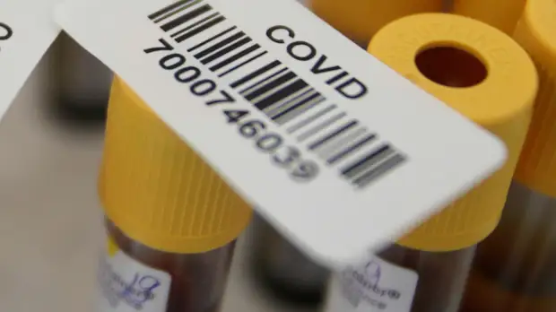 В Краснодарском крае выявили 238 случаев COVID-19 за сутки