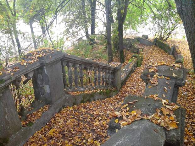 Лестница в Пушкинских горах заброшенное, красиво, мир без людей, природа берет свое, фото, цивилизация