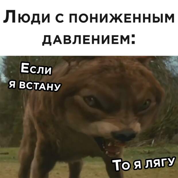 Смешные фото 6 августа 2020