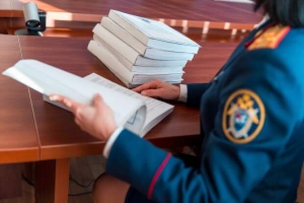 Председатель СК России поручил возбудить уголовное дело по факту мошеннических действий в отношении жителя Республики Крым