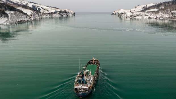 Правящая партия Японии вновь пообещала «решительно защищать» южные Курилы