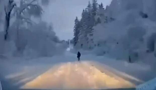 "Да здравствует наш суд, самый гуманный суд в мире!"