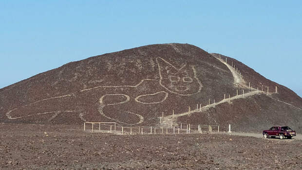 Геоглиф кошки на плато Наска в Перу Геоглиф кошки на плато Наска в Перу - РИА Новости, 1920, 05.02.2022
