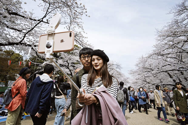 Пара делает селфи в парке Уэно, Токио