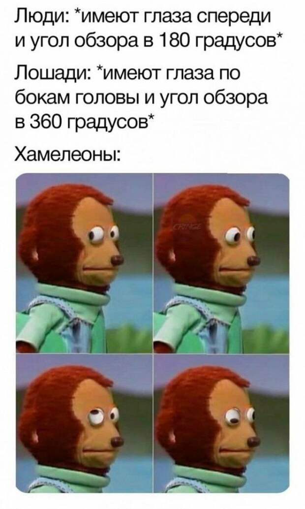 2020-02-11-19-44-2425.jpg