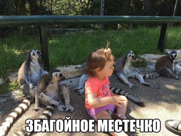 XFrkti_KBJo