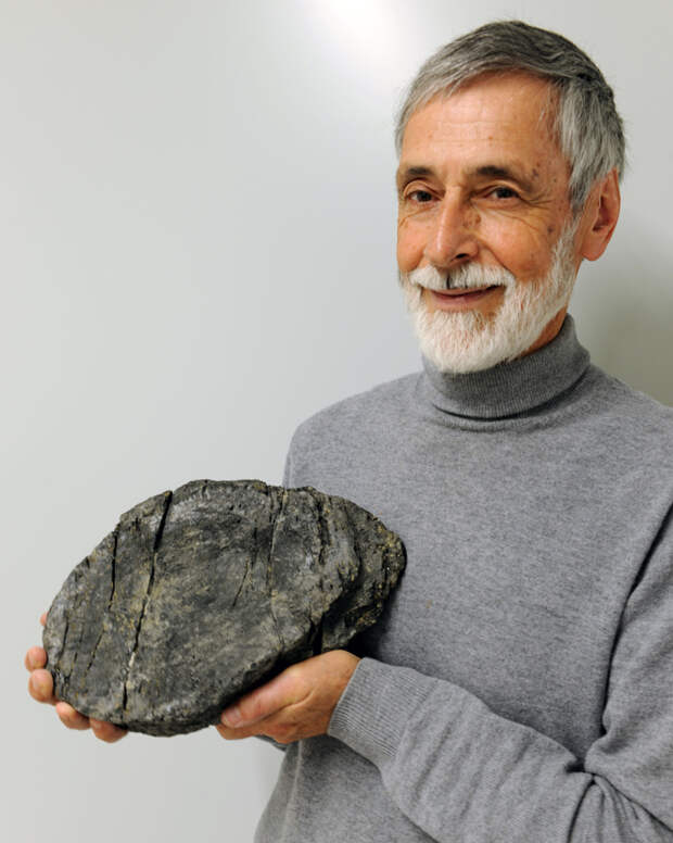 Доктор Хайнц Фуррер с позвонком крупного вида ихтиозавра