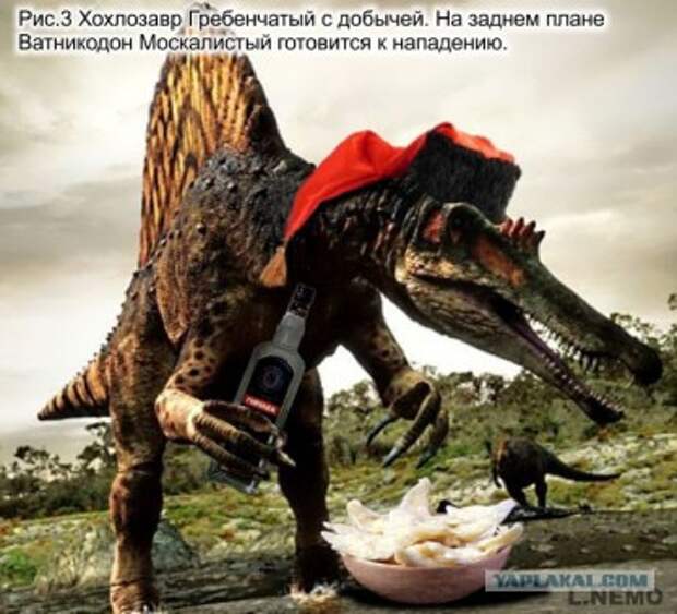 Бандера всему голова?