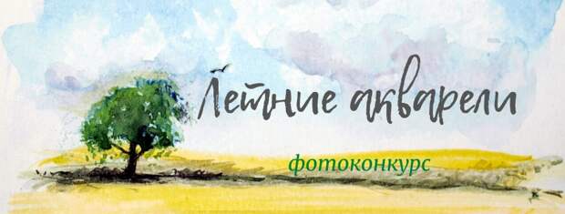 фотоконкурс.jpg