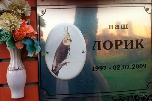 Кладбище домашних животных Кладбище домашних животных, грызуны, кошечки, попугайчики, собачки, фоторепортаж