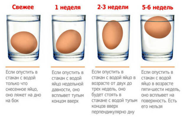 Проверка свежести яиц. Проверка свежести яиц.