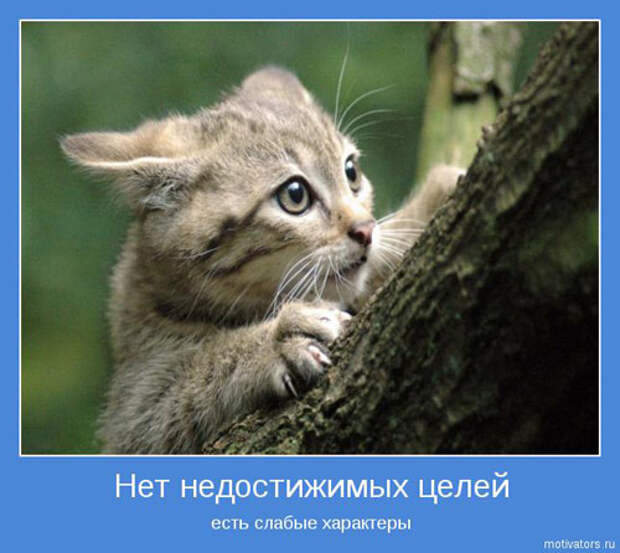 1581448490_1445504321_mot08.jpg