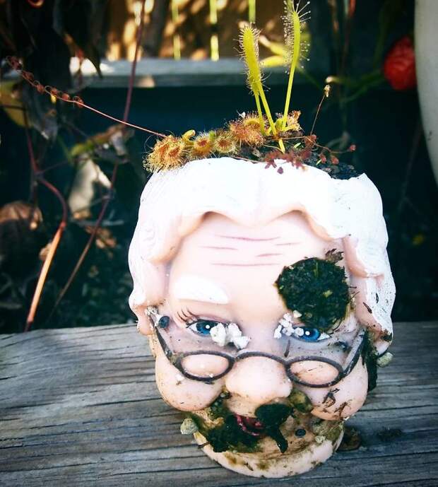 Creepy-Baby-Doll-Head-Planters