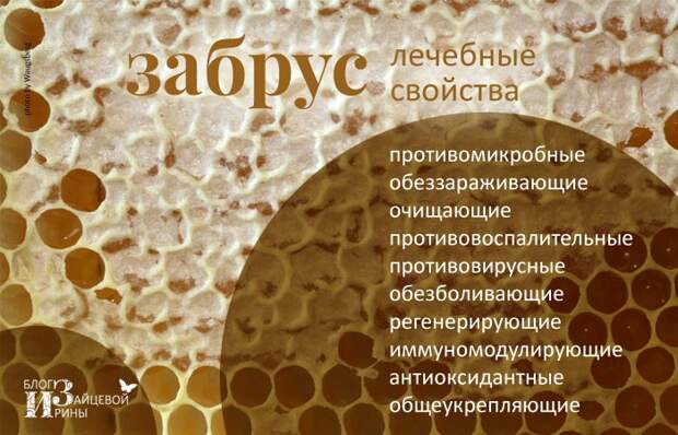Забрус пчелиный, забрус народная медицина. Забрус пчелиный, забрус народная медицина.