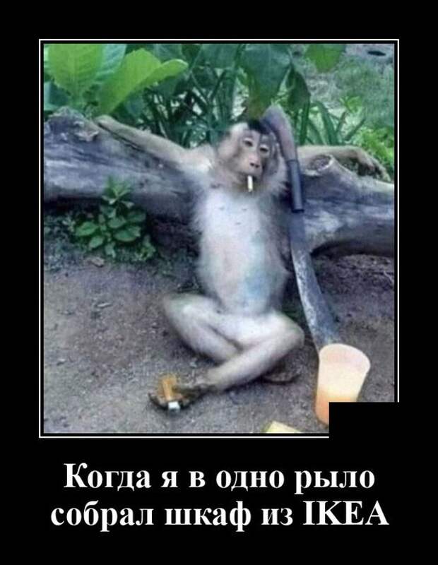 Демотиватор про шкаф