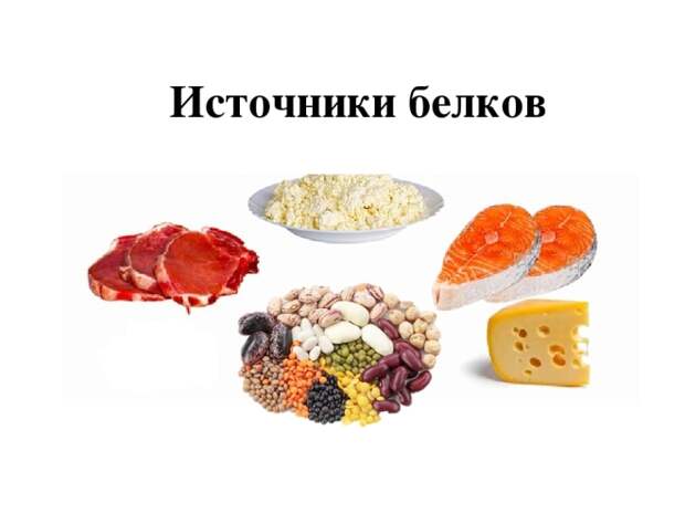 Диета для собаки больной раком