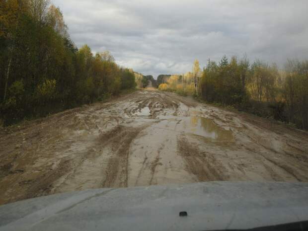 Непредсказуемость вальдшнепиных высыпок