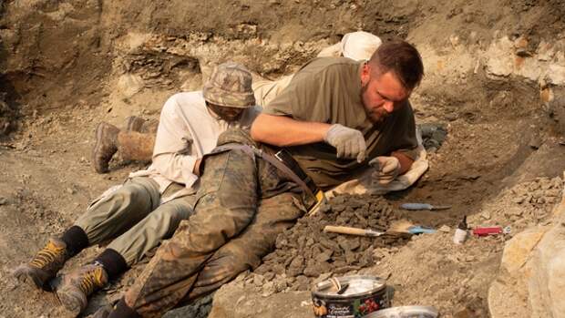 Российские палеонтологи нашли «затерянный мир» Конан Дойла