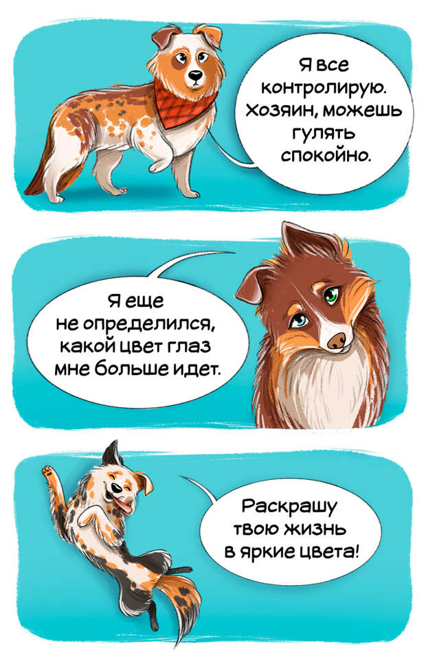 Честный гид по породам собак от первого лица (Часть 2-я)