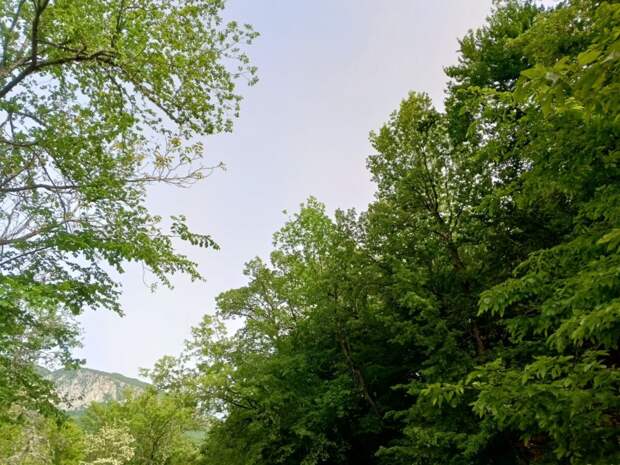 Прогноз погоды в Крыму на 30 мая