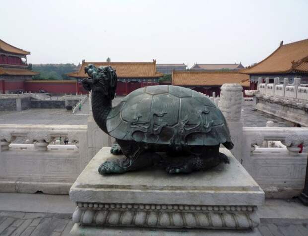 Черепаха биси, Китай