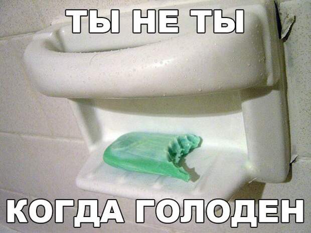 Прикольные картинки с надписями для поднятия настроения Прикольные картинки с надписями для поднятия настроения