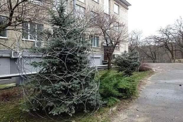 30 странностей окружающего нас мира 30 странностей окружающего нас мира
