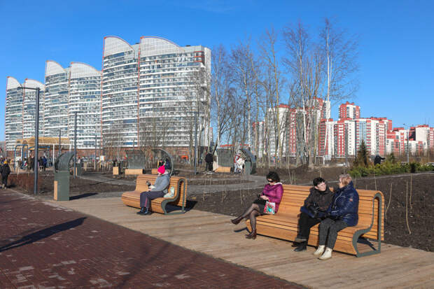 В Петербурге стало меньше нарушений в сфере благоустройства