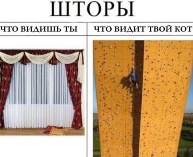 Новогодние фотомемы (32 шт)