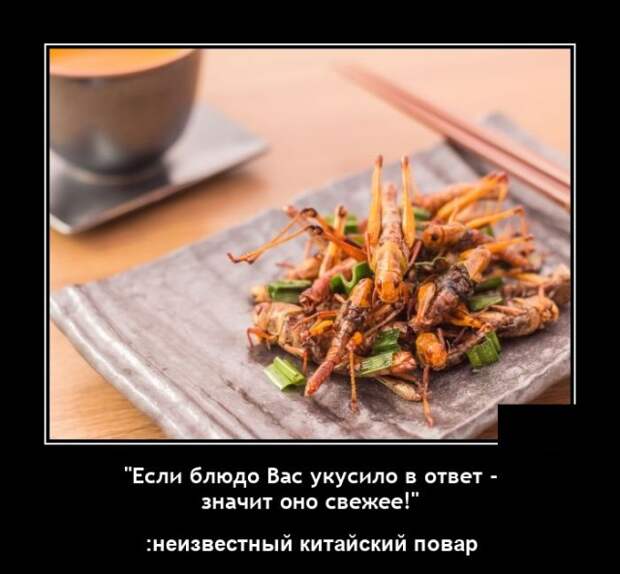 Демотиваторы гифки 17 мая 2021