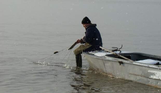 В Архангельской области разрешили ловить рыбу сетями, но не везде