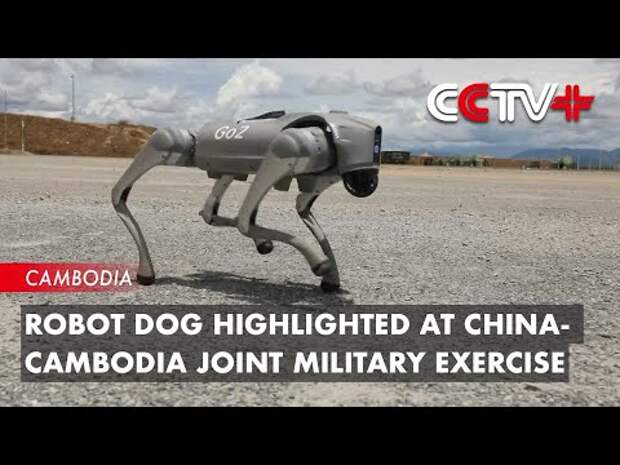 Китай впервые применил на военных учениях боевых собак-роботов